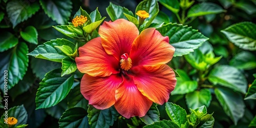 Wallpaper Mural Vibrant Hibiscus Flower Surrounded by Lush Green Leaves in a Natural Garden Setting Torontodigital.ca