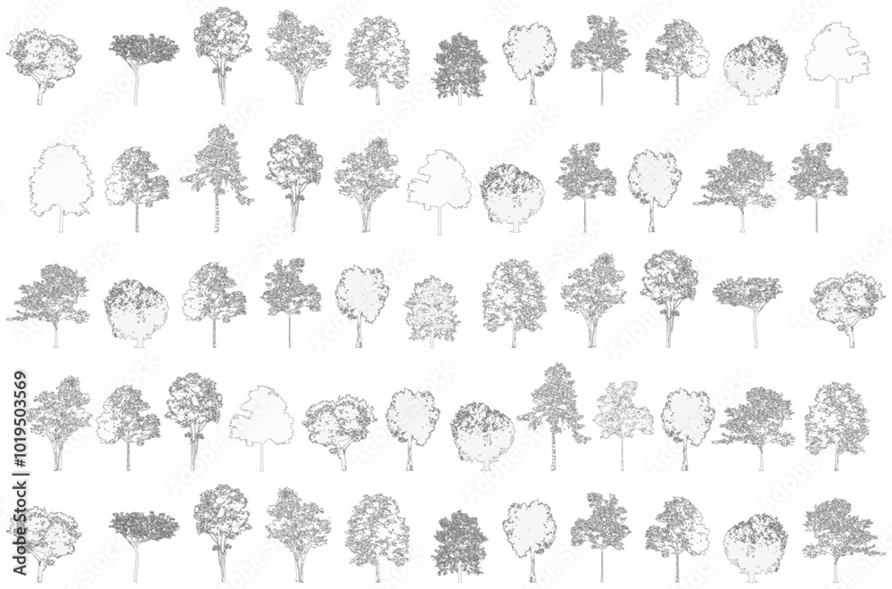 pattern Minimal style cad tree line drawing, background, set of graphics trees elements outline symbol for architecture and landscape design drawing. Vector illustration in stroke fill in white. 