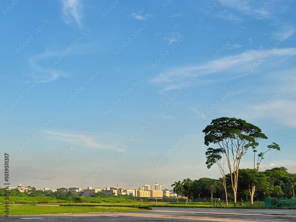 Obraz premium palm trees in the city