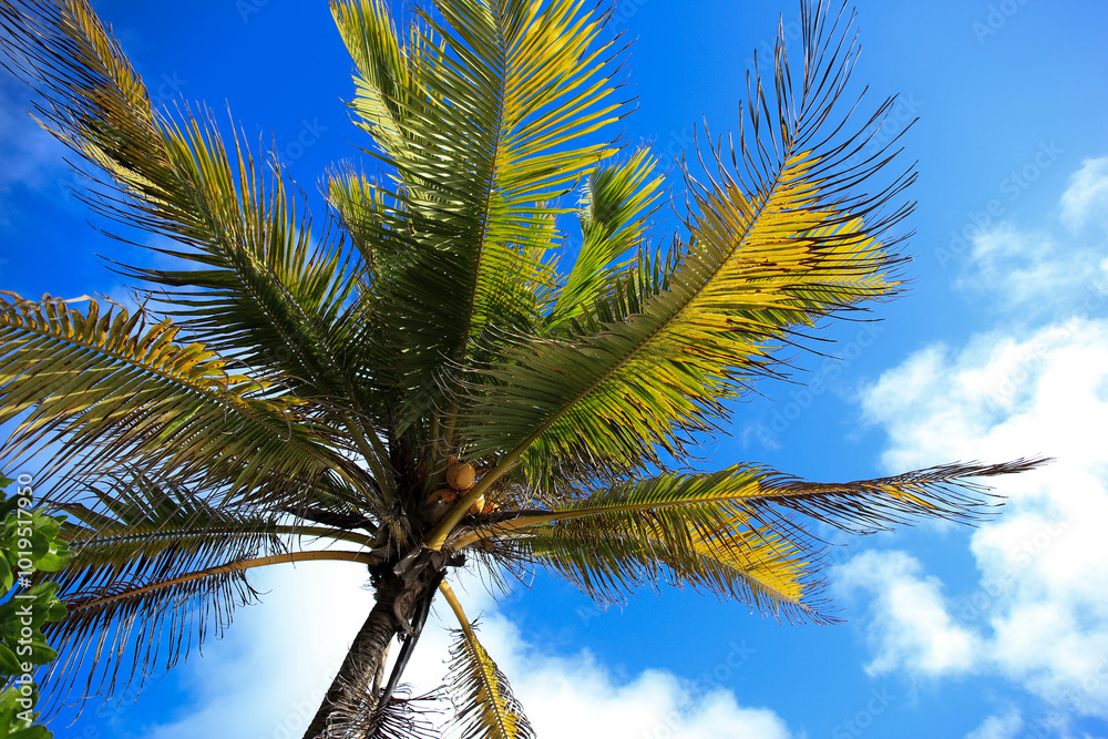 The scenery of Seychelles islands in the Indian Ocean The scenery of Seychelles islands in the Indian Ocean