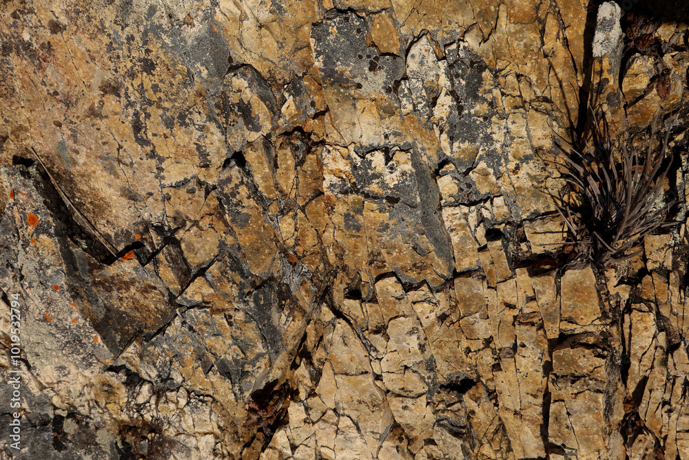 Close up of a cliff wall in Queensland, Australia Close up of a cliff wall in Queensland, Australia