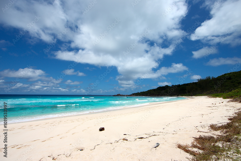 The scenery of Seychelles islands in the Indian Ocean The scenery of Seychelles islands in the Indian Ocean