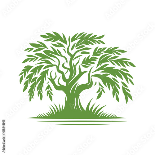 Palm Tree Isolated on White Background Tropical Nature Element for Design