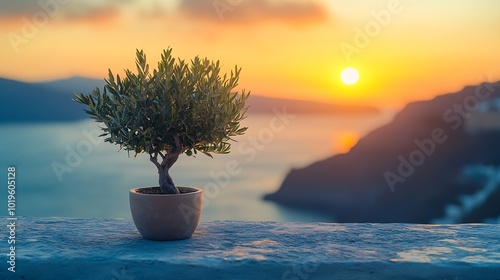 Small olive tree on the terrace with sea view Beautiful sunset at Santorini island Greece : Generative AI