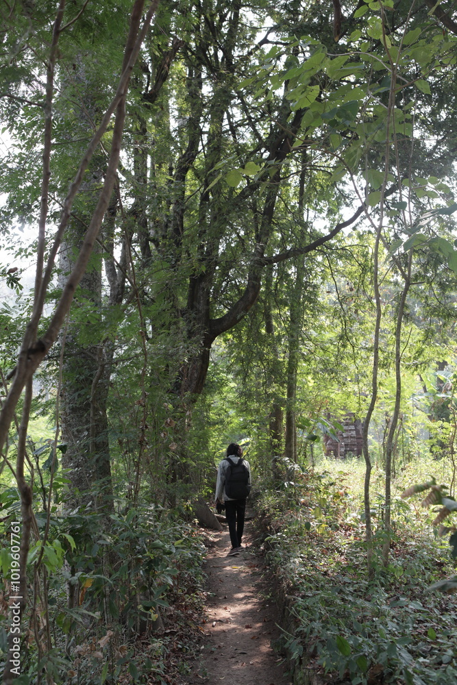 Fototapeta premium man walking in the forest