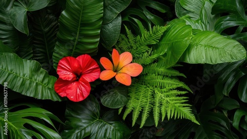 Forest floor blanketed in lush ferns, with colorful flowers adding a burst of life and beauty