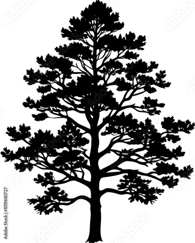 silhouette of a larch tree vector illustration black 