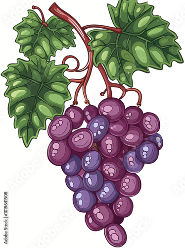 Purple Grapes with Leaves 
