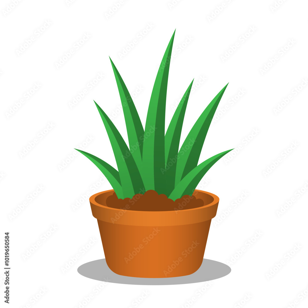 Decorative green plant with long leaves in ceramic Decorative green plant with long leaves in ceramic