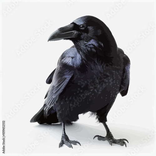 Black crow isolated on white background. Side view. 3d illustration