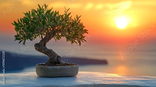 Small olive tree on the terrace with sea view Beautiful sunset at Santorini island Greece : Generative AI