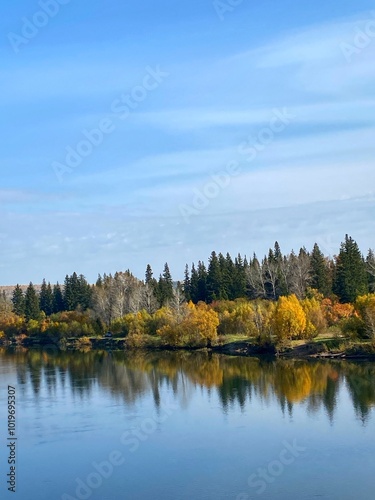 Bright Colorful Autumn Forest Reflected in River, Siberia, Russia