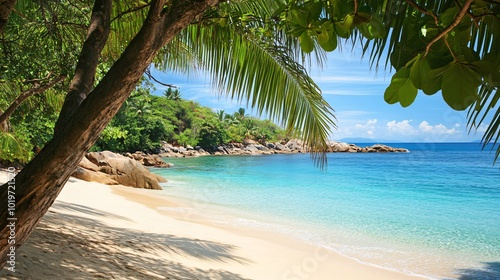 Tranquil tropical beach with palm trees, blue water and white sand.