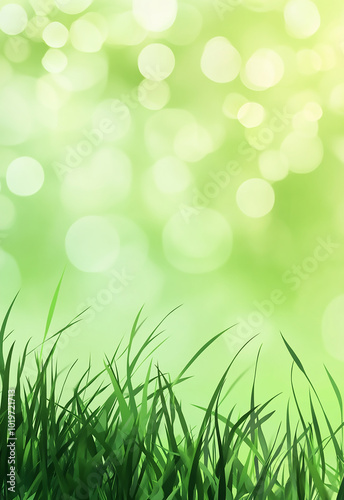 Panoramic natural landscape with green grass field and blue sky with clouds