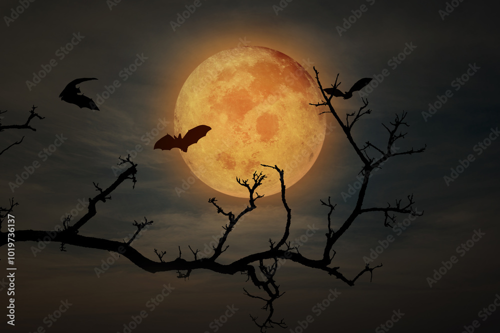 Spooky halloween background with silhouette dead tree and flying bat at night full moon Spooky halloween background with silhouette dead tree and flying bat at night full moon