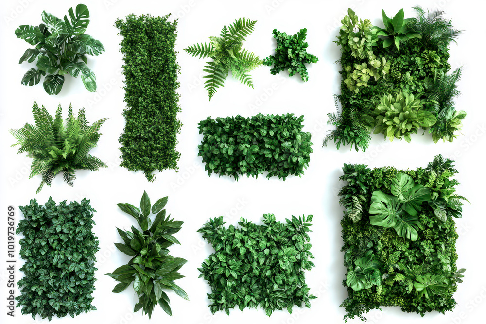 Collection of green garden walls created from vibrant tropical plants set against a white background perfect for enhancing indoor spaces and promoting eco-friendly design isolated on white background
