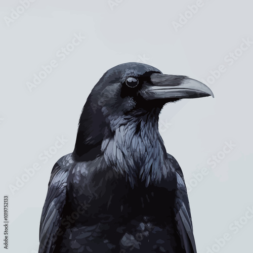 Portrait of a common raven (Corvus corax)  