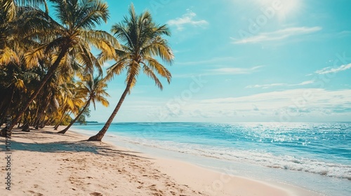 Tropical paradise with palm trees and turquoise water.