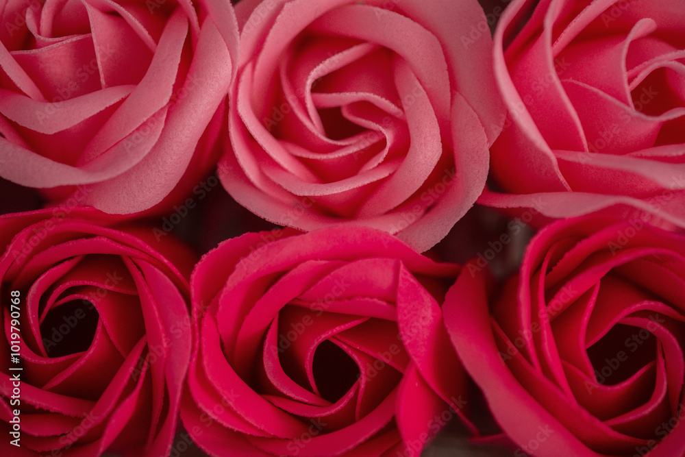 Beautiful arrangement of pink and red roses in a decorative display for a special occasion Beautiful arrangement of pink and red roses in a decorative display for a special occasion