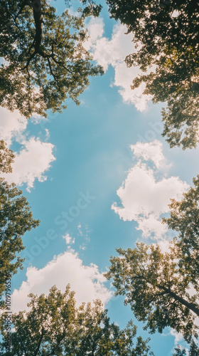 Wide-angle film style sky view, leaves and clouds, AI generative. photo