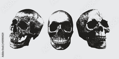 Human skull with halftone stipple effect, for grunge punk y2k collage design. Pop art style