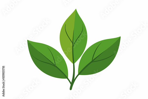 Bay Leaf Wishes for creative vector design