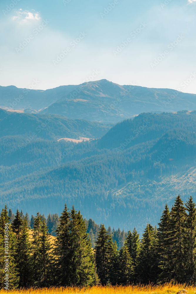 Romania Transalpina road with many serpentines crossing forest in Carpathian mountains. Mountains forest trees with road in Parang mountains Romania Transalpina road with many serpentines crossing forest in Carpathian mountains. Mountains forest trees with road in Parang mountains