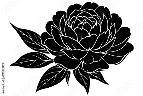 Peonie flower in shilouette vector illustration
