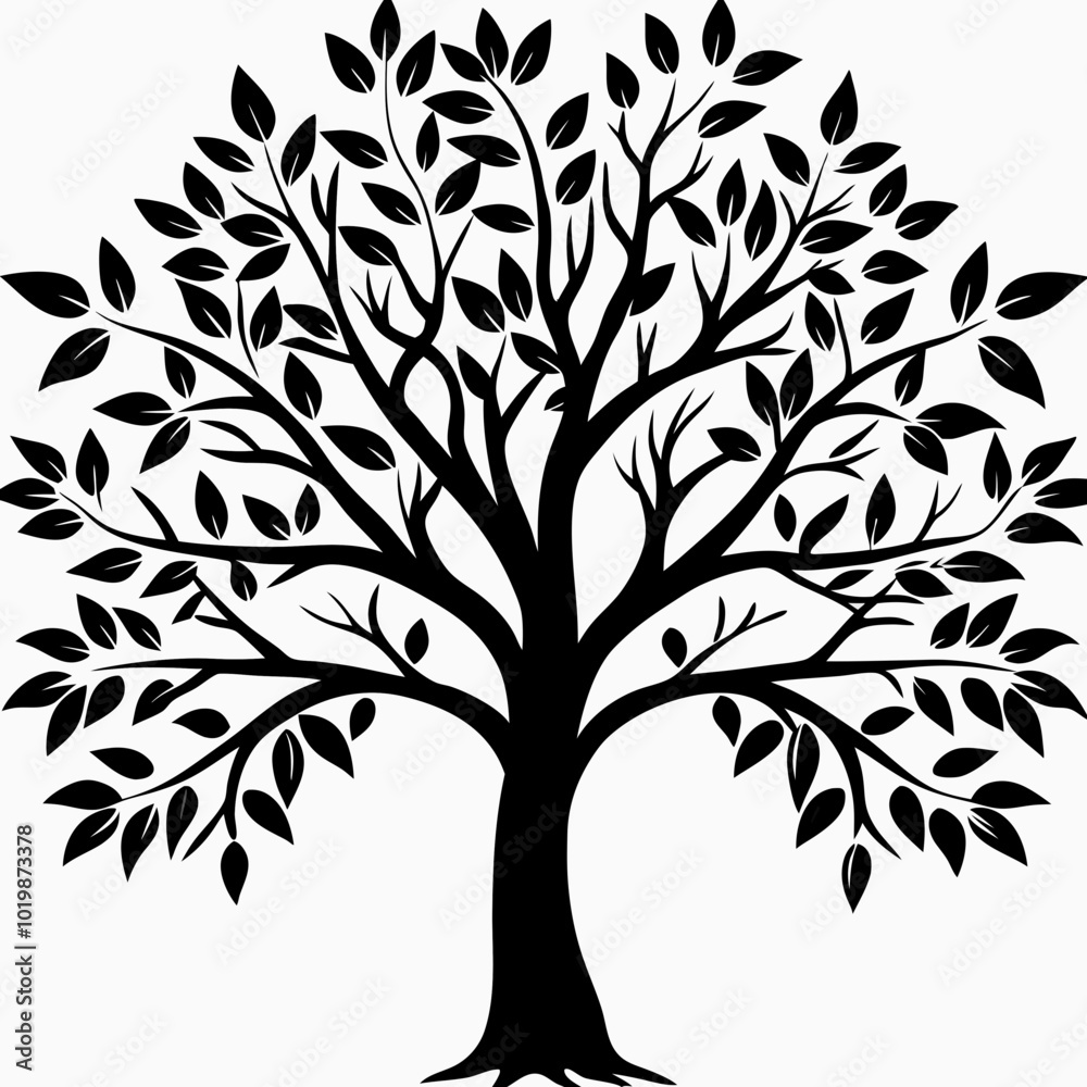 Obraz premium pecan-tree-silhouette