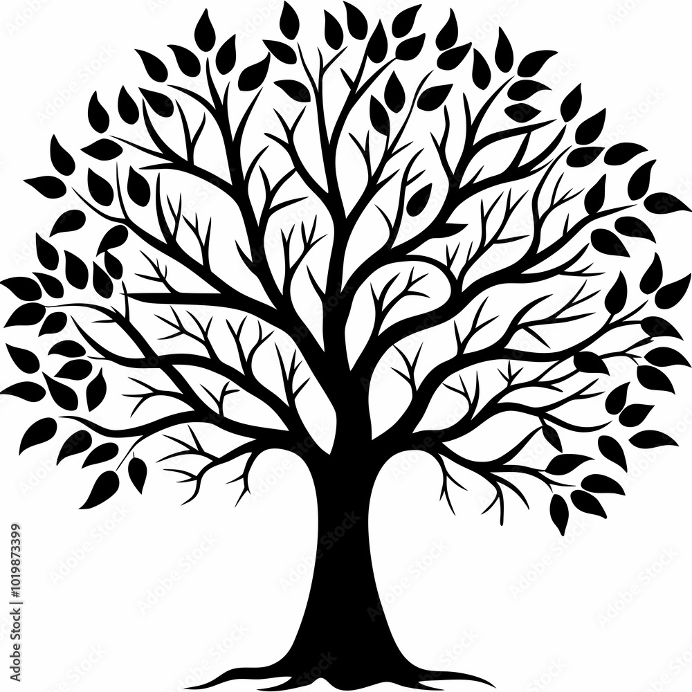 Obraz premium pecan-tree-silhouette