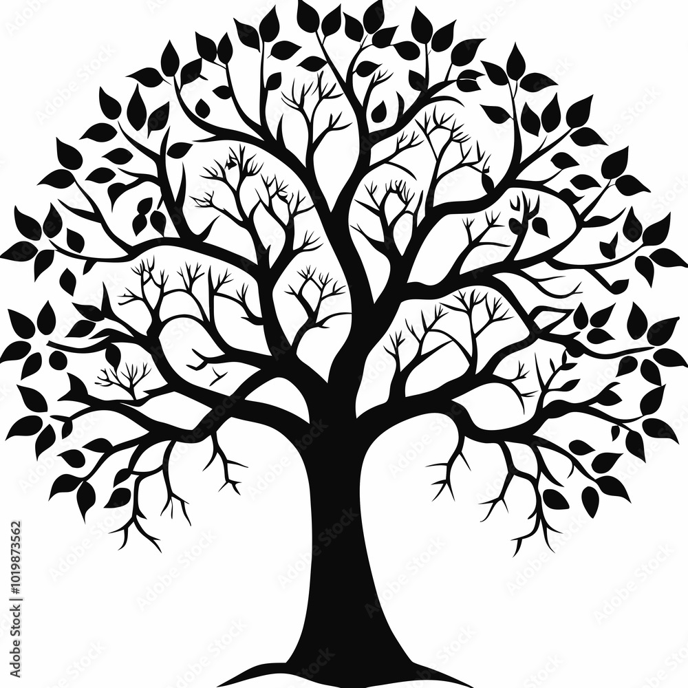 Obraz premium paulownia-tree-silhouette