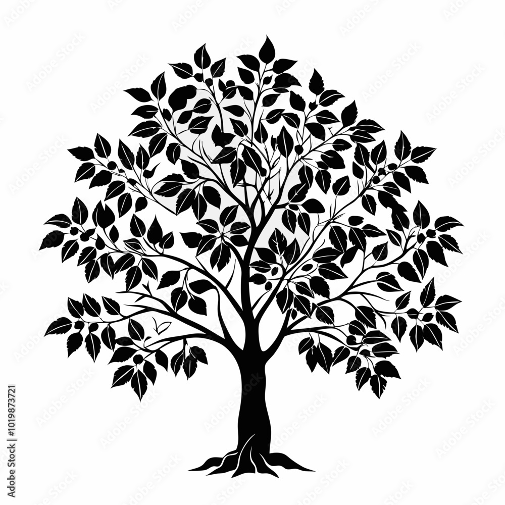 Obraz premium pignut-hickory-tree-silhouette