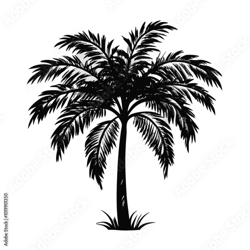 palm-tree-silhouette