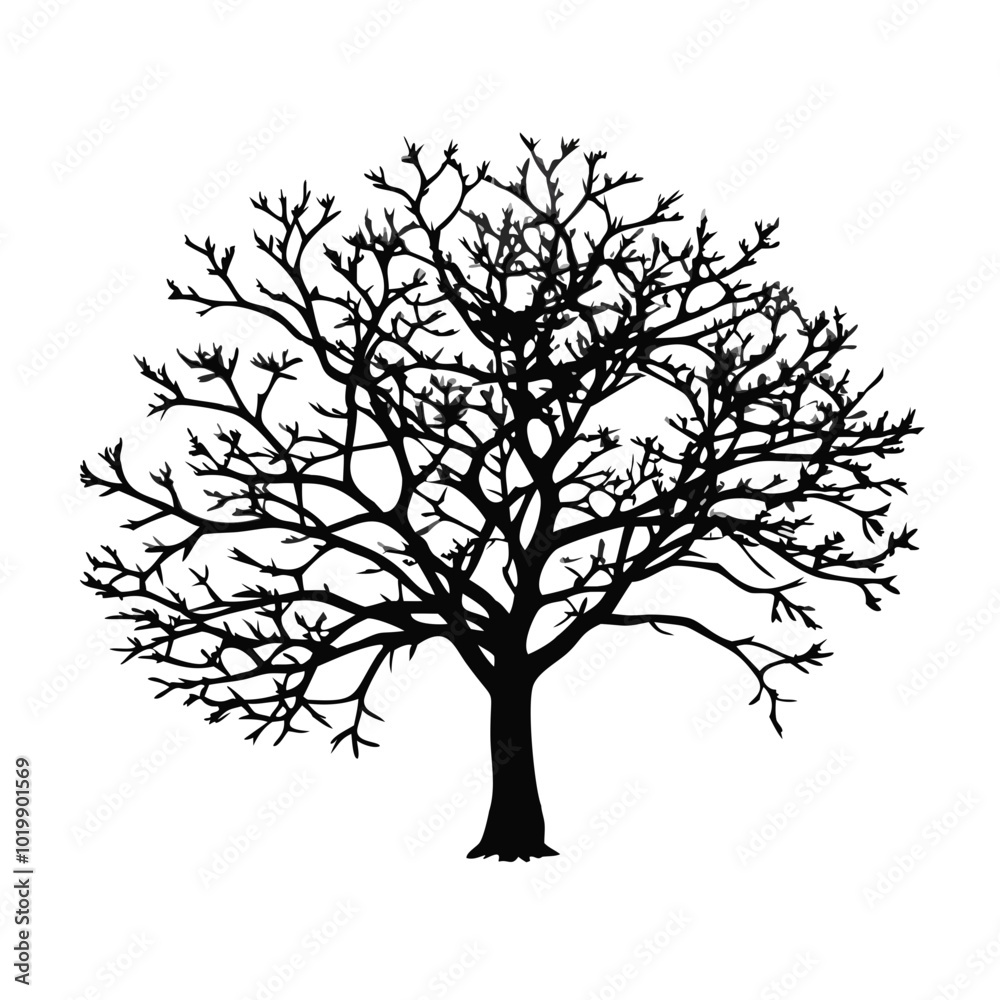 Fototapeta premium pawpaw-tree-silhouette