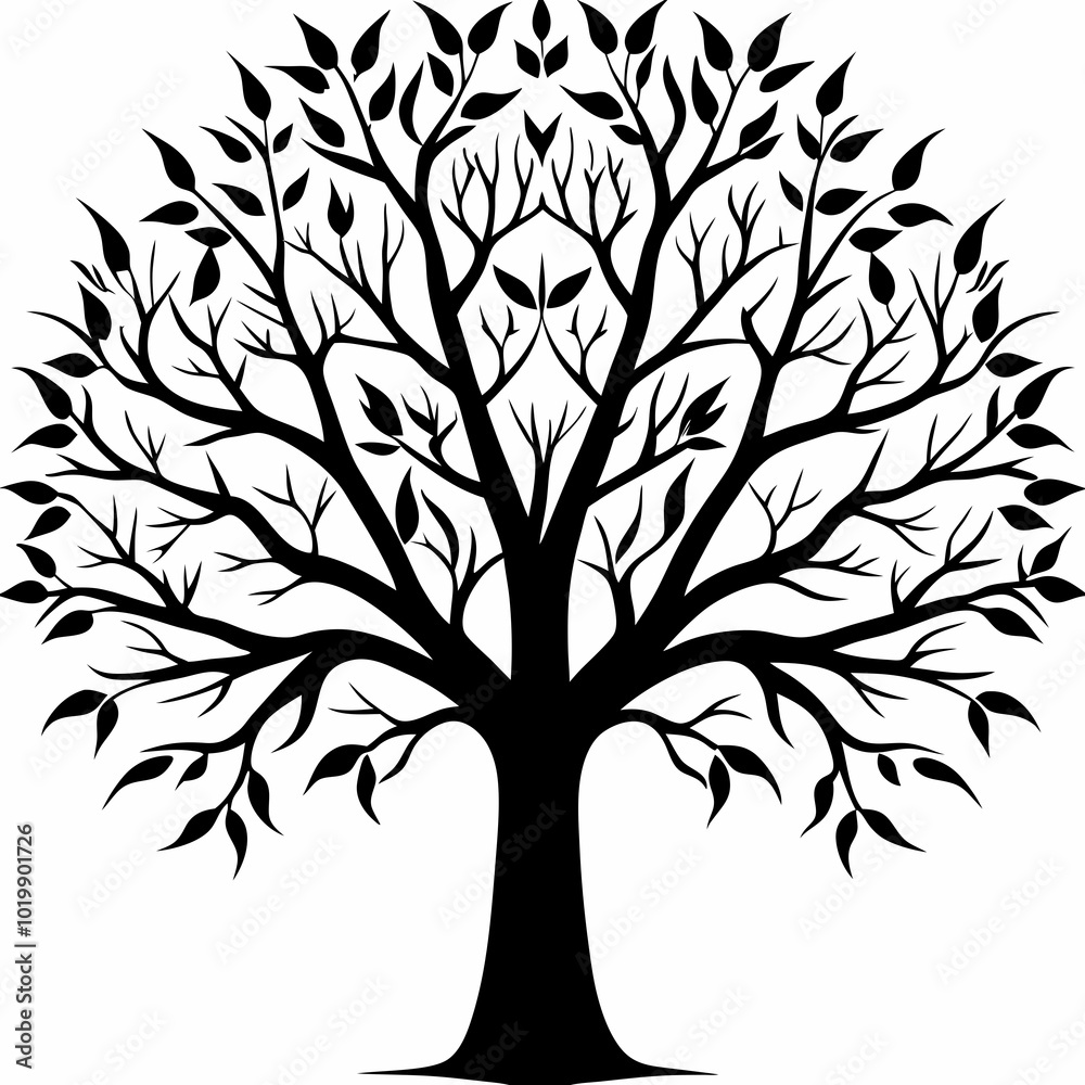 Obraz premium poplar-tree-silhouette