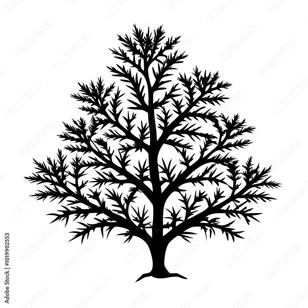 Obraz premium yew-tree-silhouette
