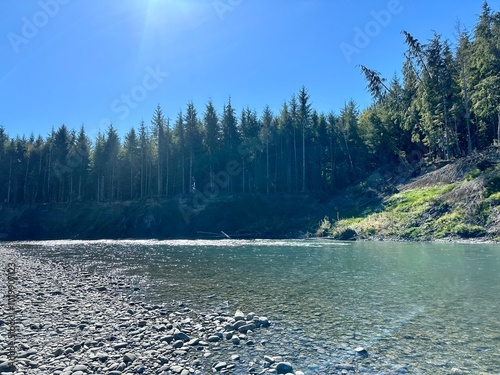 Hoh river along the riverbank