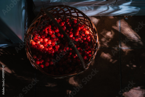 Basket filled with fresh cherries on warm tiled floor photo