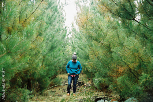 Person Walking Through Lush Pine Tree Forest in Winter Morning photo