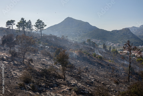 Extinguished forest fire on a hill above the mountain town photo