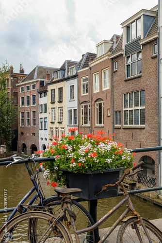 Bicycle with flowers in Utrecht, Netherlands  