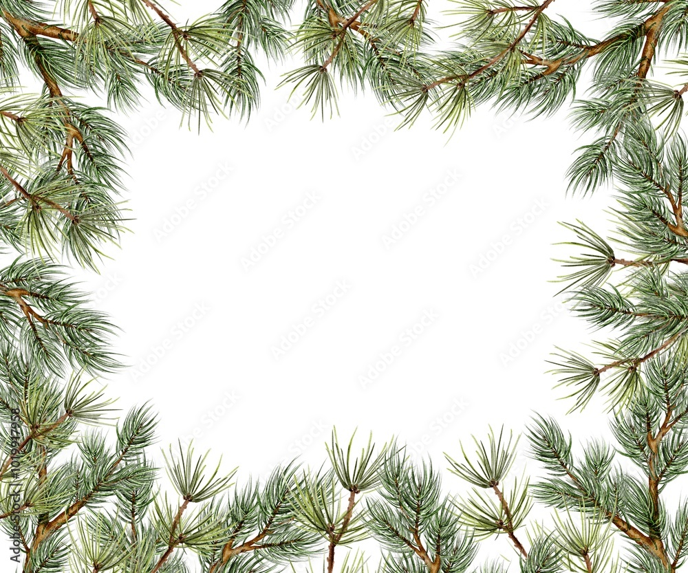 Christmas spruce and pine branch Watercolor template on white. Hand drawn illustration for New Year and winter holidays designs in realistic style. Christmas spruce and pine branch Watercolor template on white. Hand drawn illustration for New Year and winter holidays designs in realistic style.