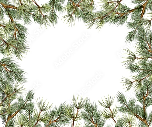 Christmas spruce and pine branch Watercolor template on white. Hand drawn illustration for New Year and winter holidays designs in realistic style.