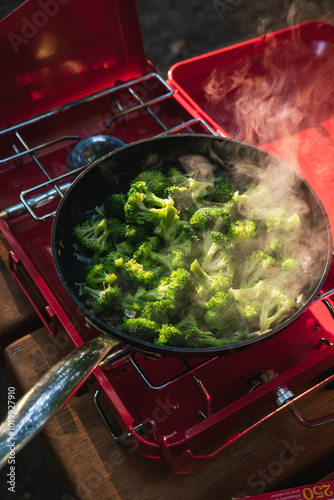 Gourmet Camping Cooking on Vancouver Island photo