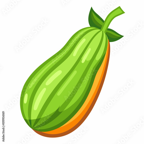 pointed-gourd-vegetable--vector.