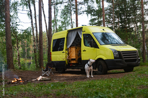 Wallpaper Mural Cute Wild Motorhome Parking Place With Dog Torontodigital.ca