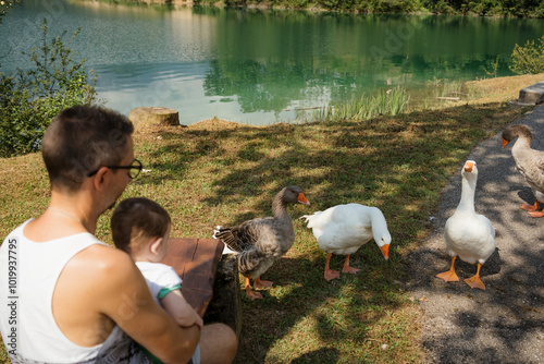 A father with his son at the lake with ducks photo