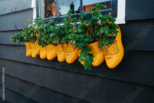 Wooden clogs as flower pot in Netherlands
