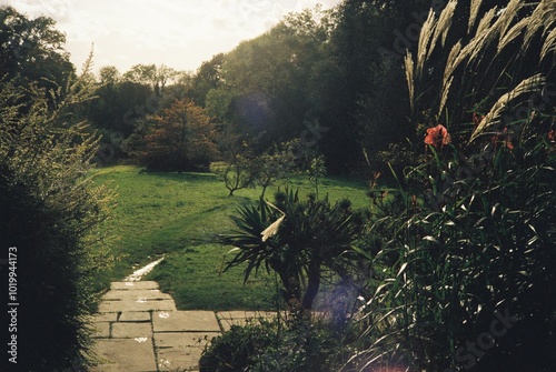 Sunny garden path leading towards distant trees.