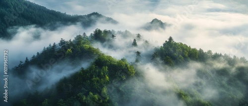 Wallpaper Mural Aerial view of misty mountains surrounded by lush greenery, creating a serene and tranquil atmosphere in nature. Torontodigital.ca